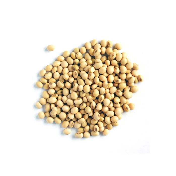 supplier high quality good prices non gmo soyabeans / soya beans seed for export / soybeans for sale