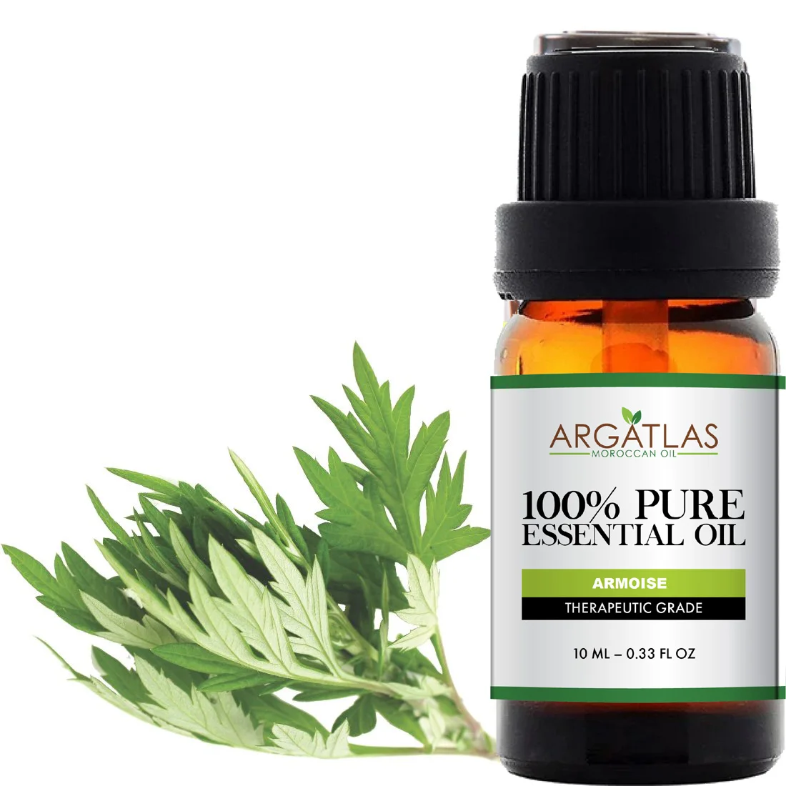 Armoise Essential Oil 100% Pure & Natural Essential Oils At Cheapest Price