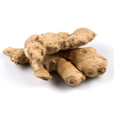Certified Grade Dried Organic Ginger Rood Bulk Purchase Whole Dry Ginger Rood Buy From Indian Manufacturer
