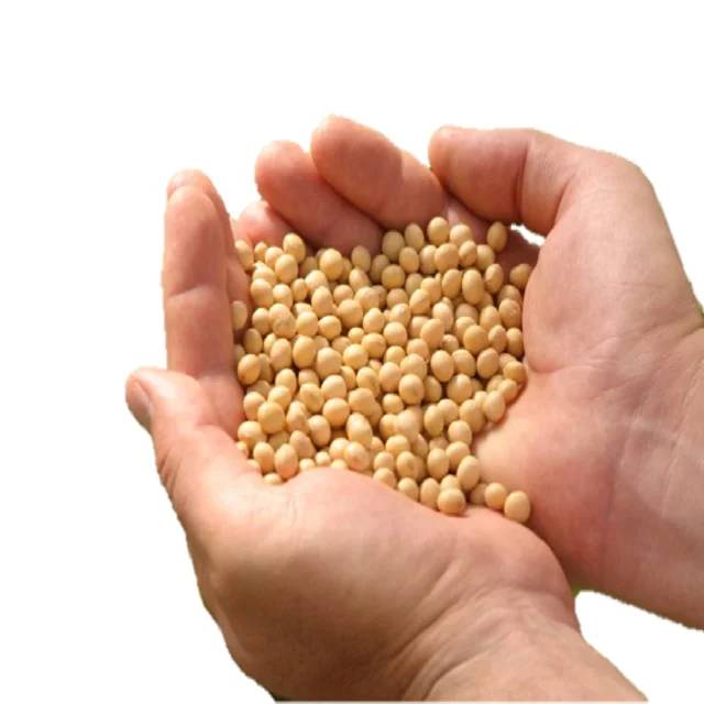 Original Soybeans/ Cheap Price Soya Beans Best Selling Soy Bean Seeds