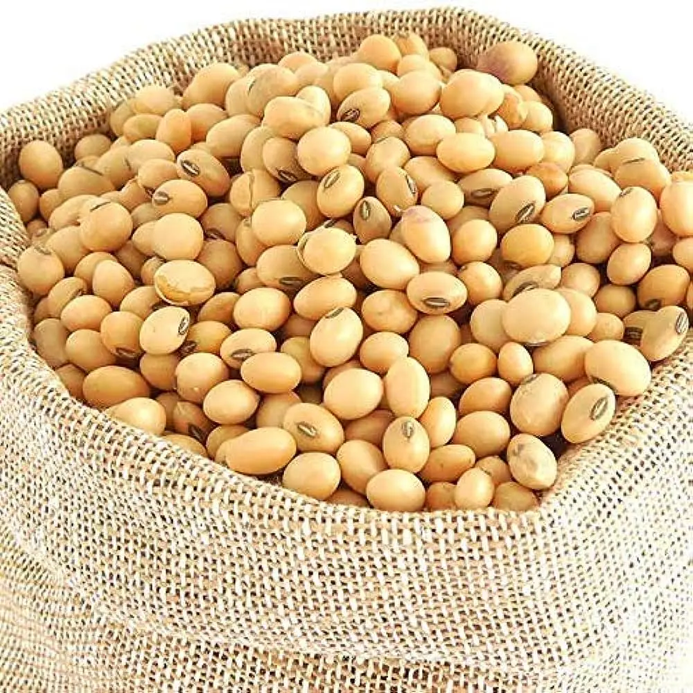 Non GMO высокое качество соевые бобы хорошего качества сырое соевое зерно в мешках
