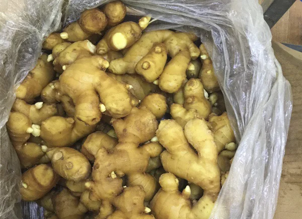 New product 2023 Dried Ginger Fresh Ginger Price In Viet Nam Light Yellow Natural Dried Ginger Slices made in Vietnam