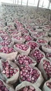 Wholesale Fresh Onion/ Onion High Quality A Grade with Cheap Price in customized packaging imported onion from Pakistan