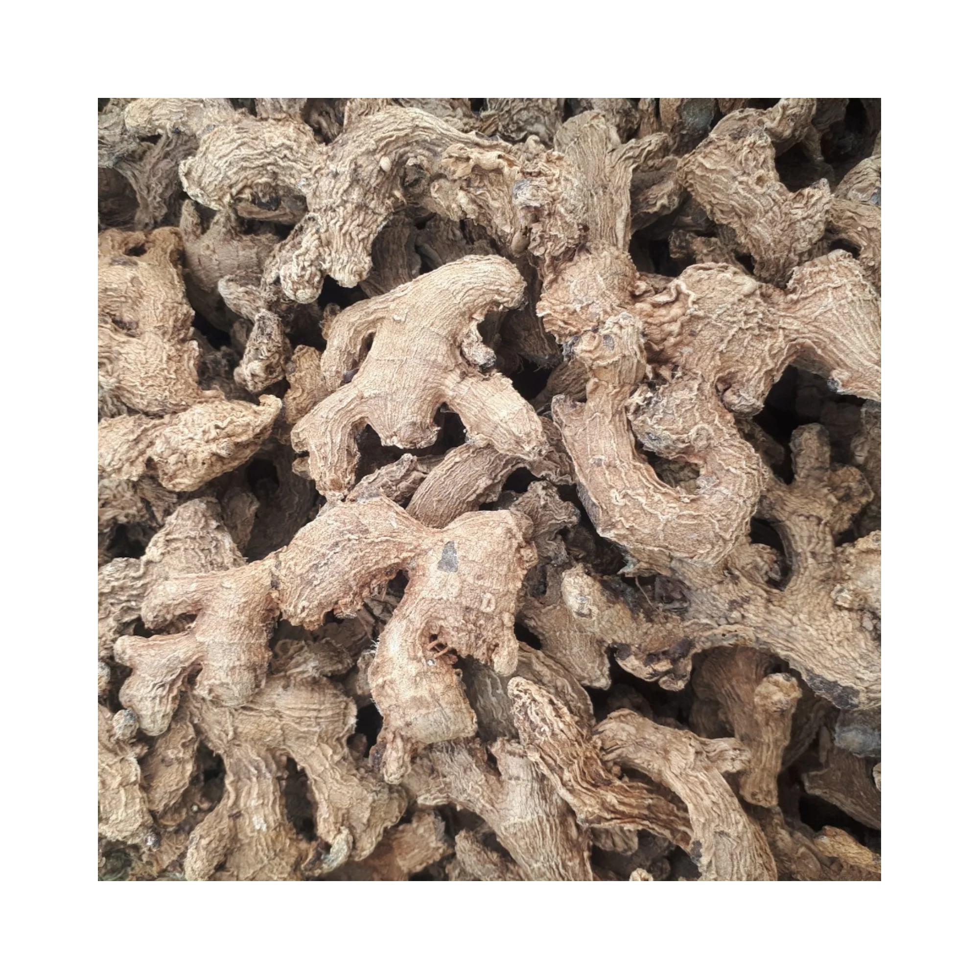 Dried ginger for Cooking and Drinking from Viet Nam/ Hot Sale Dehydrated Ginger Slice / whole