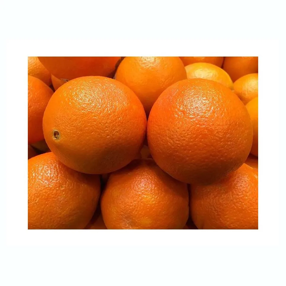 Sweet Fresh mandarin orange/Fresh Orange, Naval Orange, Valencia Oranges USA