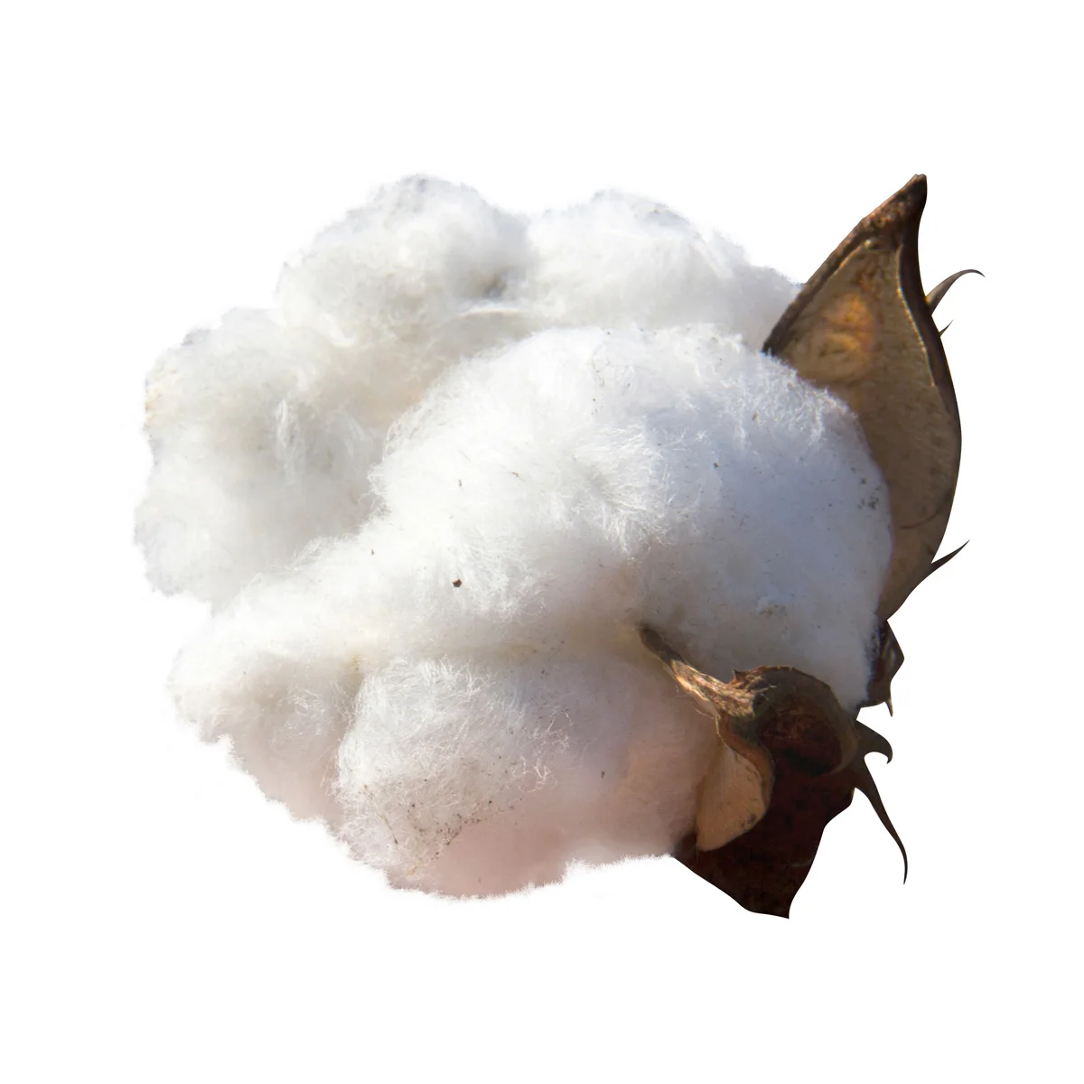 High quality loose cotton pulp in bulk from manufacturer custom production available
