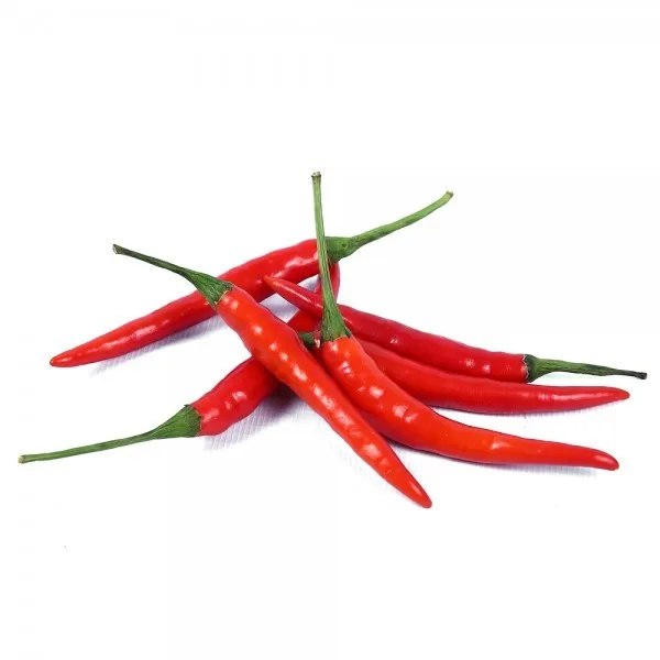 Fresh chili Thai Natural Spice High Quality Premium Grade Export Product  Wholesale Original From Thailand Best seller