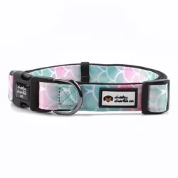 Best Quality Neoprene Dog Collar Custom Design Waterproof Pet Supplies Padded Soft Adjustable Nylon Pet Collar Wholesale