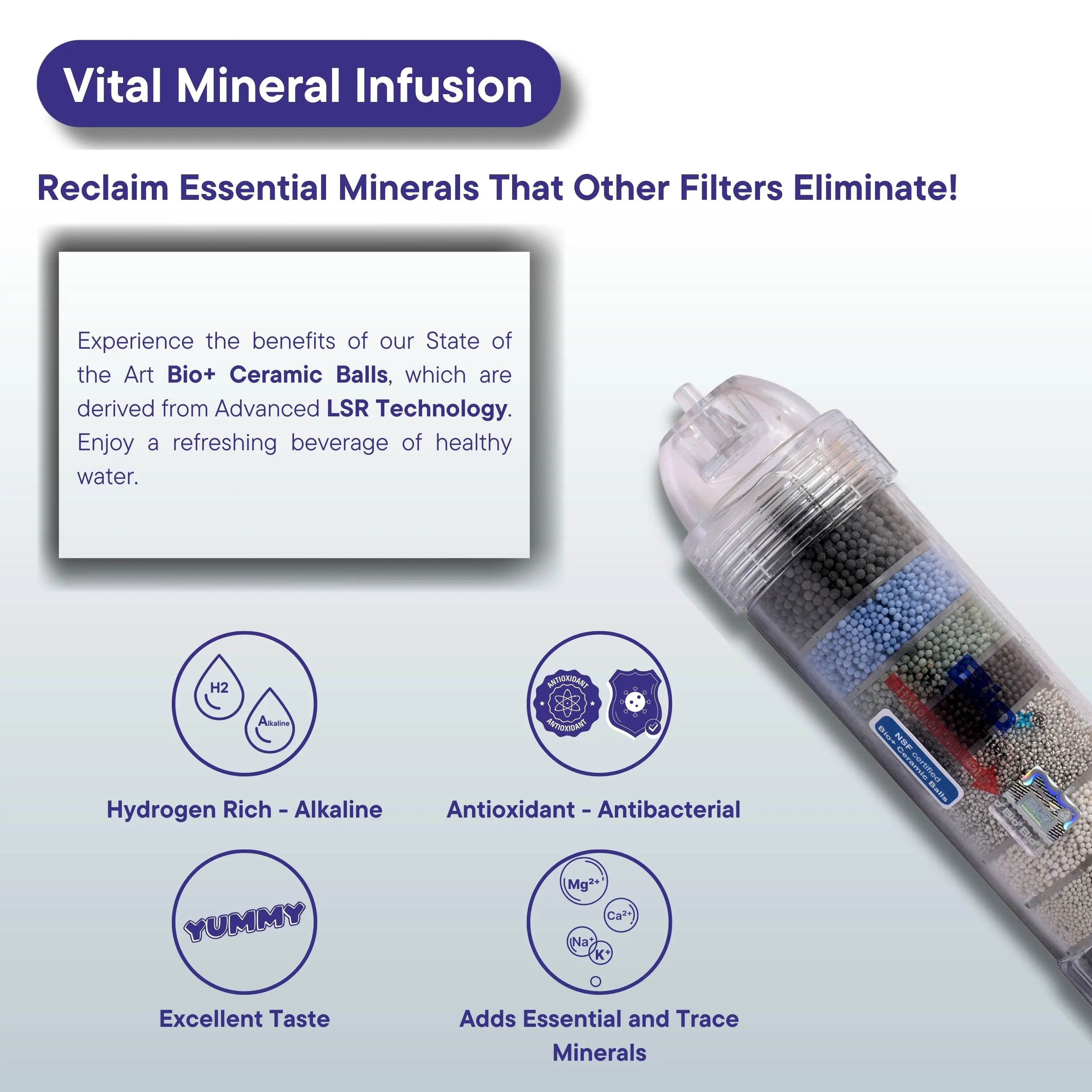 Bio+ Sales Leader for Antibacterial Alkaline Water Filter integrated antioxidants in an alkaline water filter at cheap price