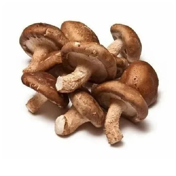 Bestselling Shiitake mushroom powder at low Price From india