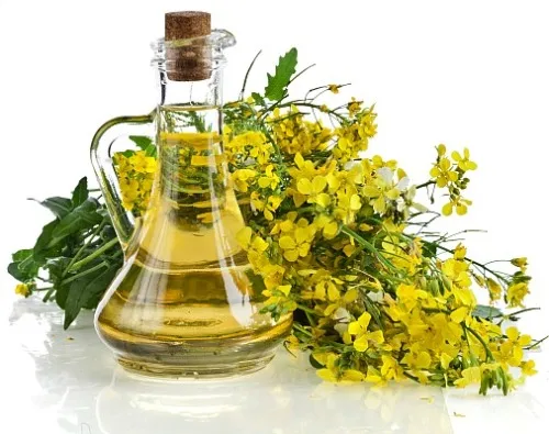 Cheap Unique Premium Bulk Canola Oil Prices And Canola Oil Wholesale
