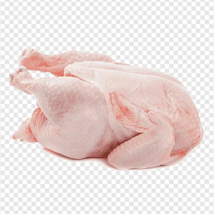 High Quality HALAL Frozen Whole Chicken Wholesale Frozen Chicken Breast BEST QUALITY for SALE at LOW PRICE