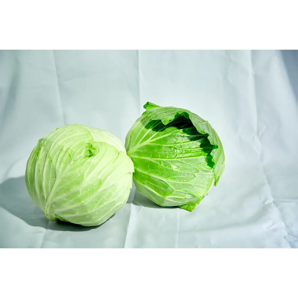 Fresh Vegetables Fresh Cabagle and Tomato  From Wholesale Green Farmer In Vietnam High Quality Nutrition Food