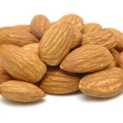 Top quality sweet bulk apricot kernel