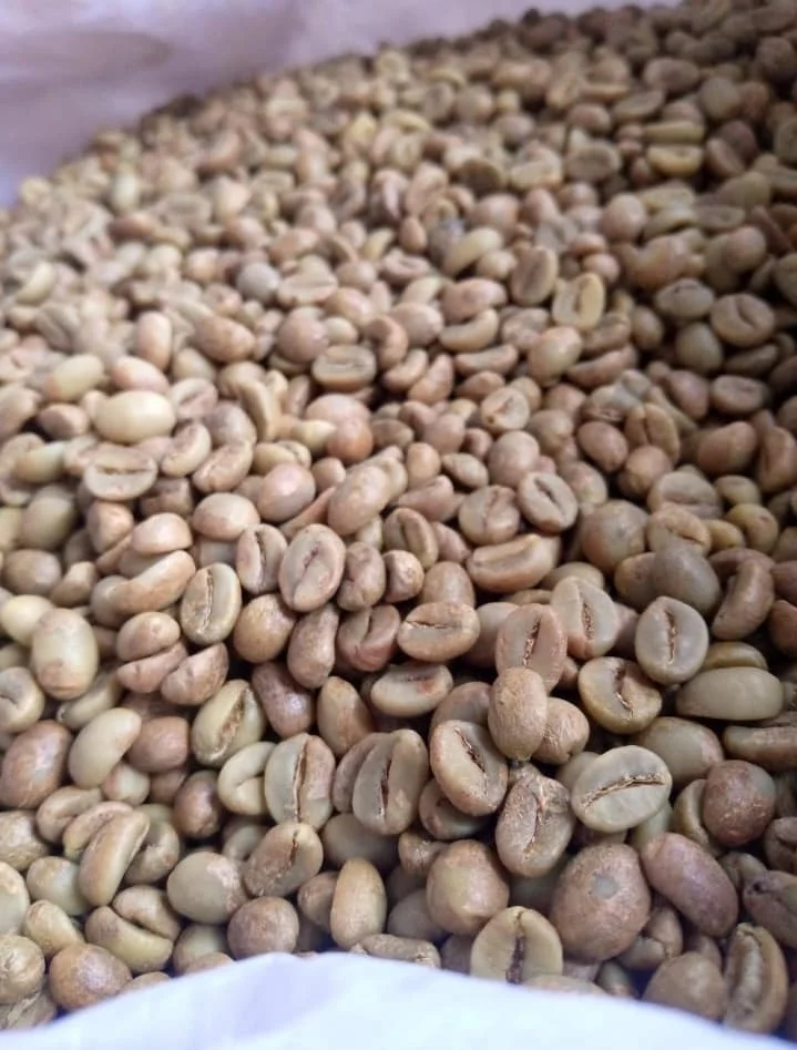 Сорт AA и сорт Robusta кофейные зерна из Африки