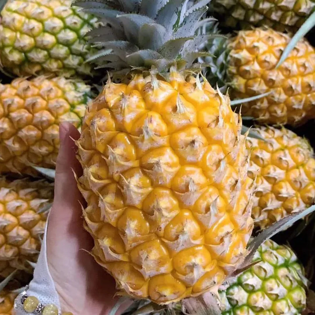 2023 свежеобрезанный сочный индийский ананас MD2 индийское качество свежий Золотой оптом по низкой
