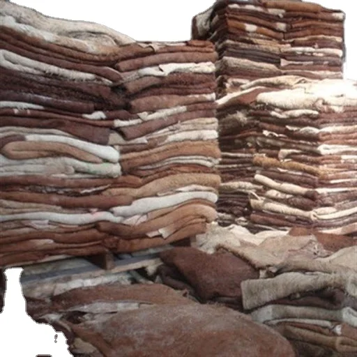 Wet salted cow Hides /skin cow heads animal skins for leathers