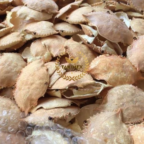 Wholesale Cheap Price DRIED CRAB SHELL Multi application For food decoration restaurant TAKIMEX from Vietnam