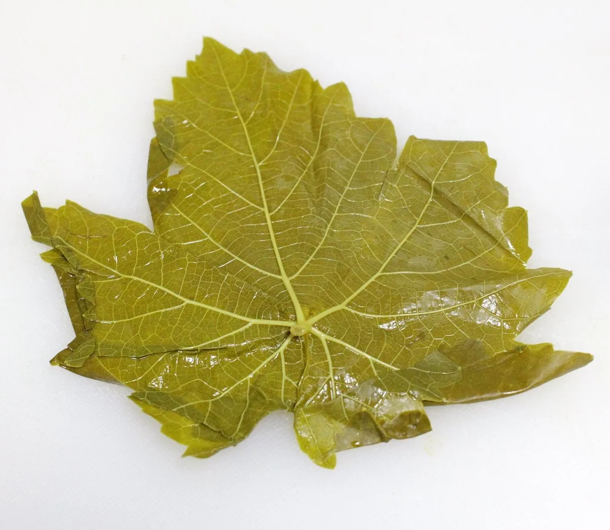 SPECIAL OFFER Top Notch Quality BEST SELLING Factory In Vietnam VINE LEAVES IN BRINE 850g