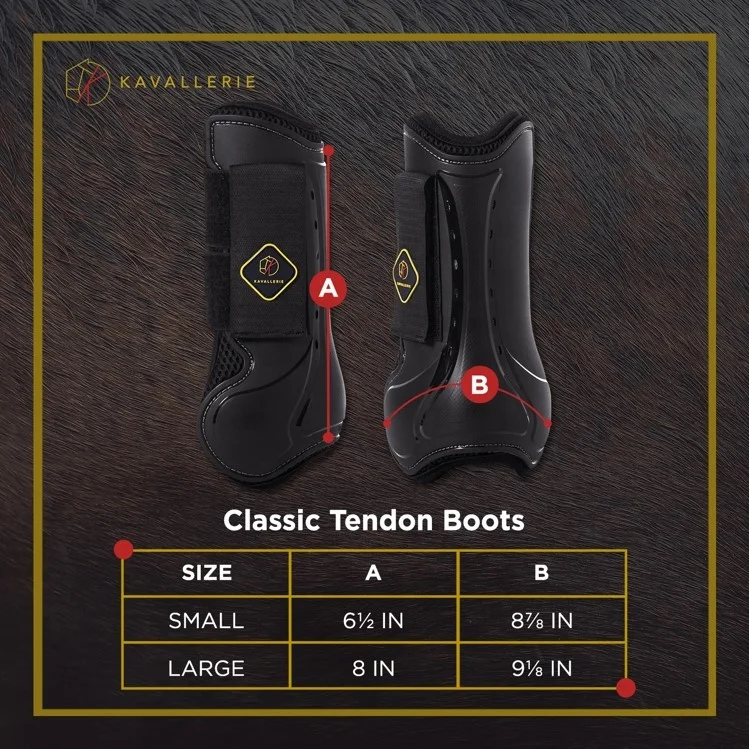 Защитные сапоги для верховой езды