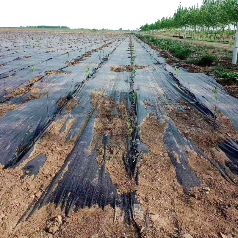 Factory Low Price Soil Erosion Control and UV Stabilized Prevent Grass Growth Ground Cover Landscape Fabric