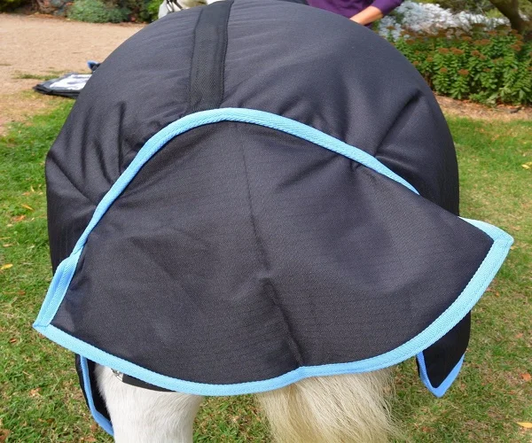 Horse Rug Australia High quality Miniature Horse Blanket Professional Choice Equestrian long lasting elastic Products Riding
