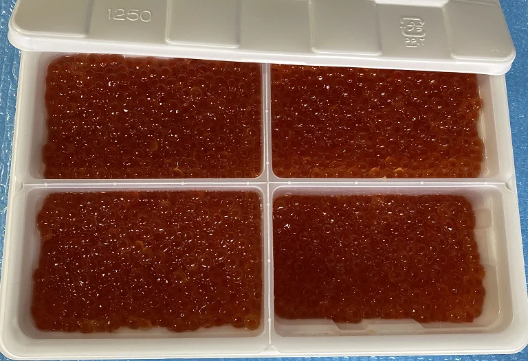 Delicious Soy Sauced Chum (A-TYPE) Frozen Salmon Roe Fish Wholesale Prices