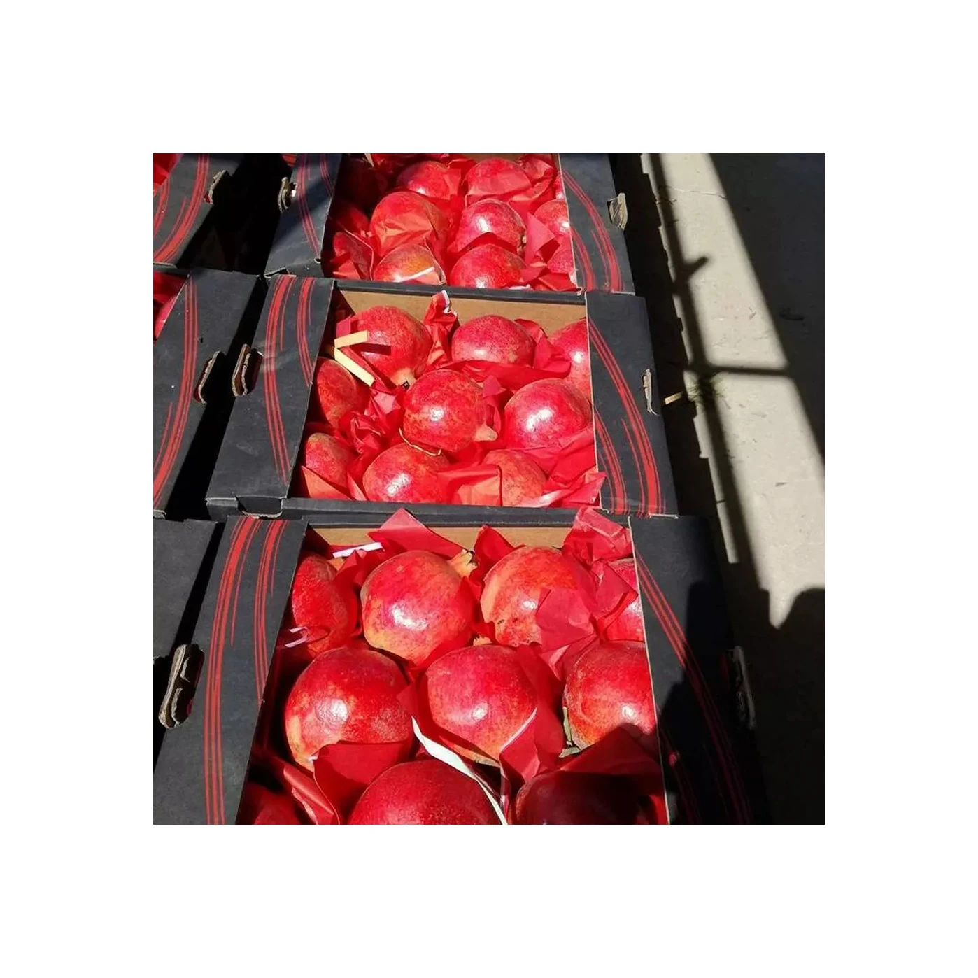 Свежий 100% натуральный красный фруктовый гранат для продажи в Португалии по воздуху Быстрая
