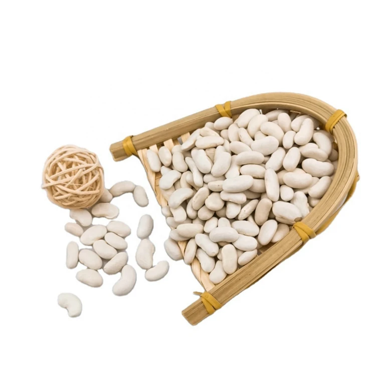 100% Organic Natural Agriculture Product Large White Kidney Beans Raw Style Dry White