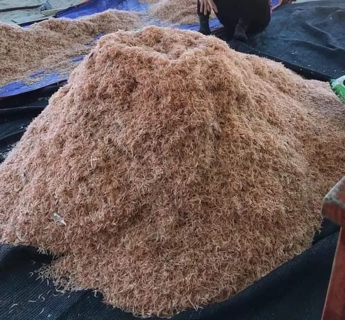 WHOLESALE DRIED BABY SHRIMP TO EXPORT - dried baby shrimp - Seafood Snacks Sun dry baby shrimp