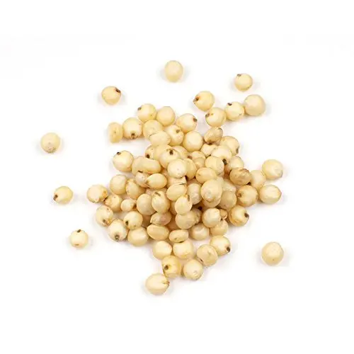 Sorghum Grains and Good Quality Red White  Sorghum