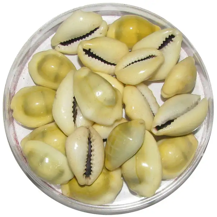 Лакшми кауди
