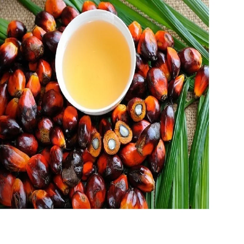 Red Palm Oil / Refined Palm Oil / Palm Kernel Oil For Sale Palm Oil Factory Supply Food Grade
