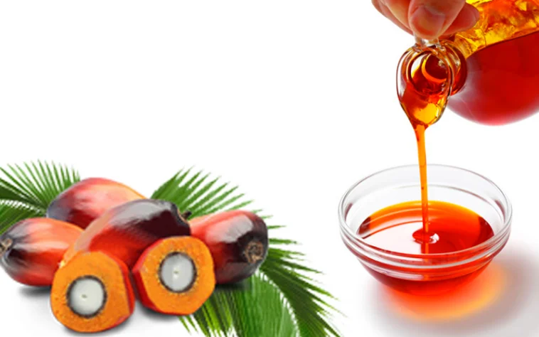 Palm oil  (2).png