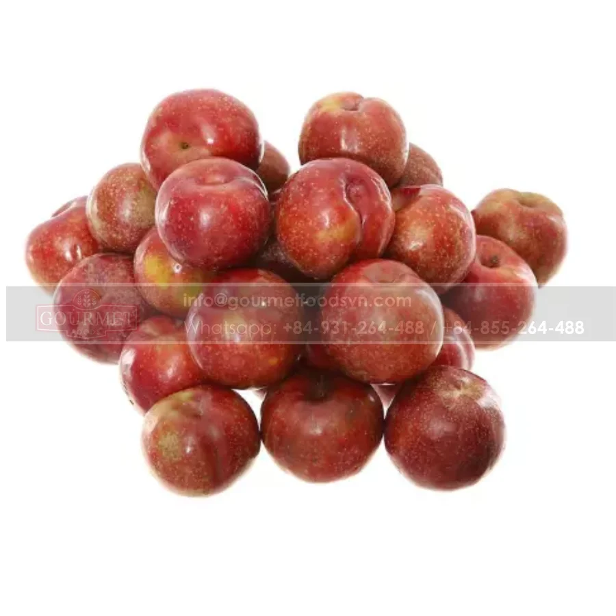 New Product 2022 Viet Nam Fresh Fruit Supplier High Quality Good Price Wholesales Fresh Plums Fruits
