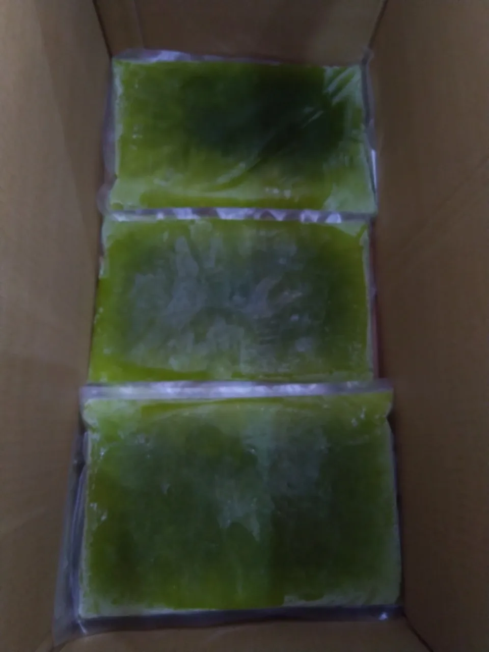 Premium Quality Sugar Cane Stick/ Frozen Sugar Cane Juice Origin in Vietnam with Competitive Price for Buyer