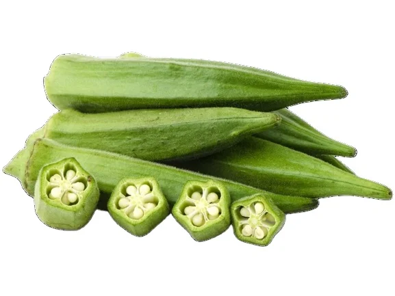 FRESH OKRA WITH EXCELLENT PRICE AND HIGH QUALITY FOR EXPORTING FROM VIETNAM