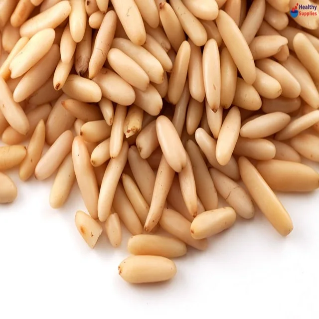 Fresh Pine Nuts New Crops 2022 Wholesale Price Bulk