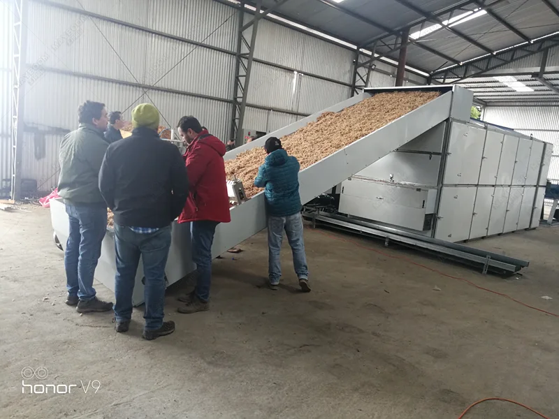 new designed 90% energy saving  water melon seeds sunflower seeds air dryer