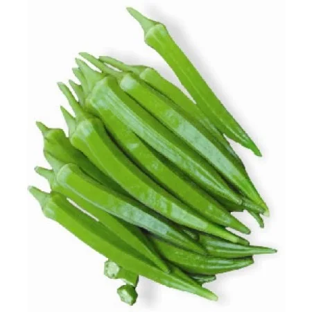 Wholesale fresh okra/ dried okra
