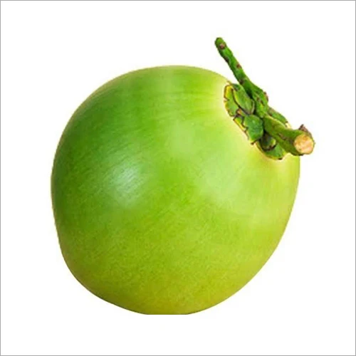 Top quality best price coconut for wholesales/Fresh green young coconut