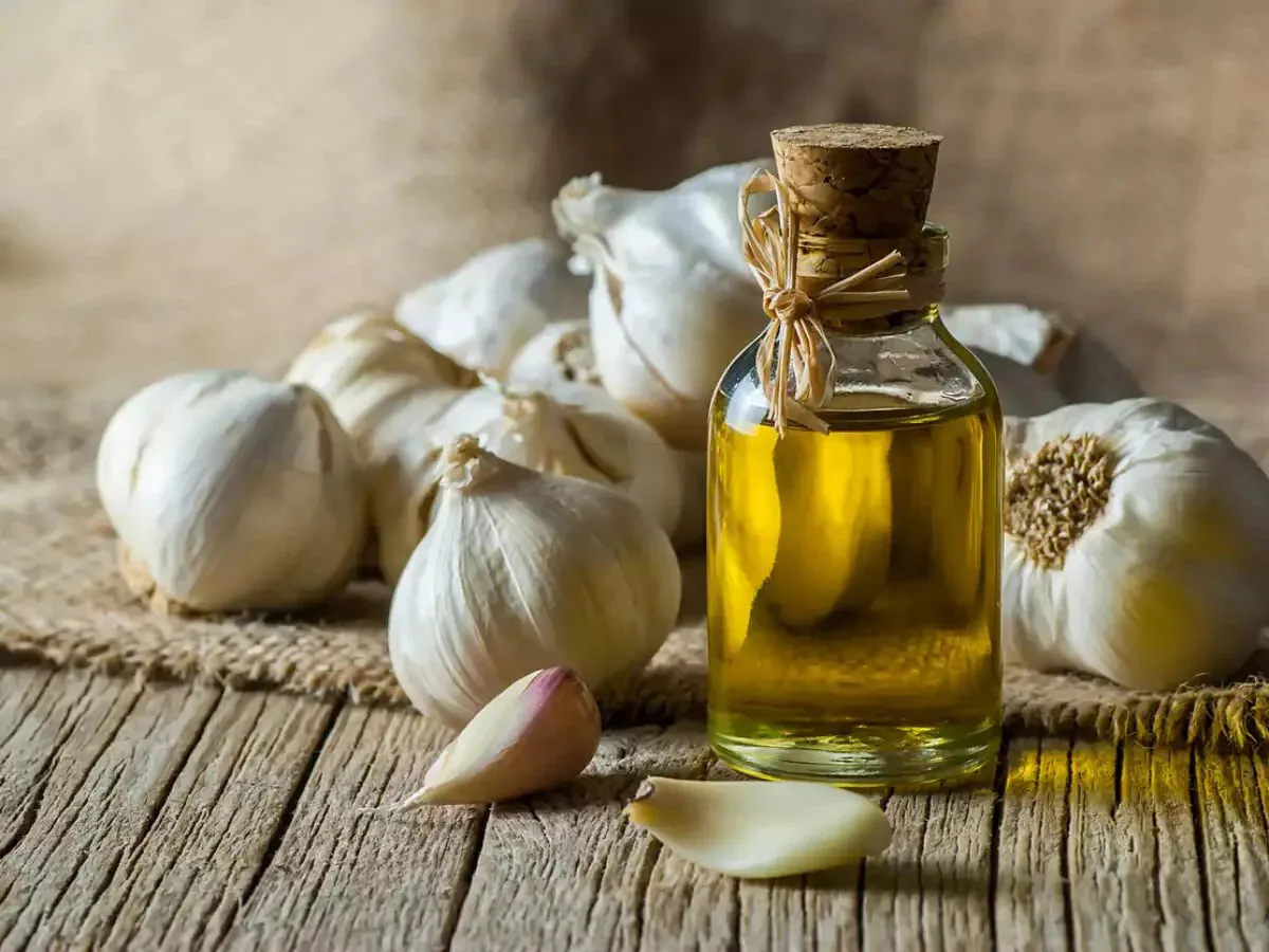 Premium Quality Hair Care Benefits Garlic Essential Oil helps Fight Dandruff and Split ends of hair buy from India