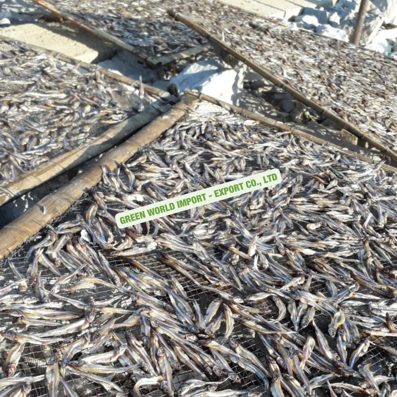 Супер вкусные сушеные анчоусы по доступной цене и высокого качества из Вьетнама-Лучшие продажи сушеных анчоусов на данный момент