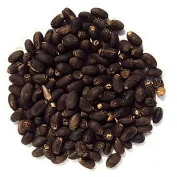 Factory Price Bulk Selling Common Cultivation Type Jatropha Seed Oil for Cooking