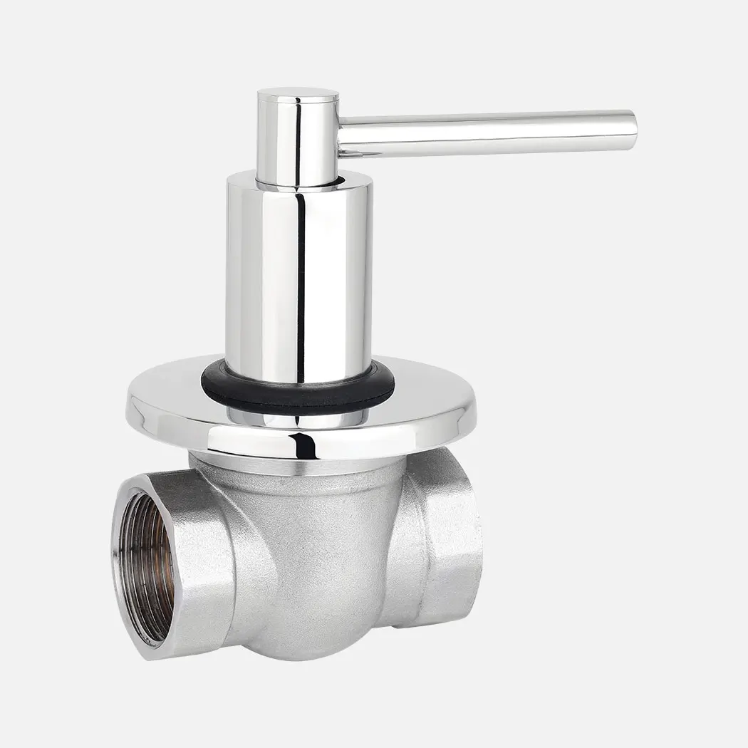High on Demand 630gm Weight Stainless Steel Control Valve 1 inch Control Valves for Export Sale from India