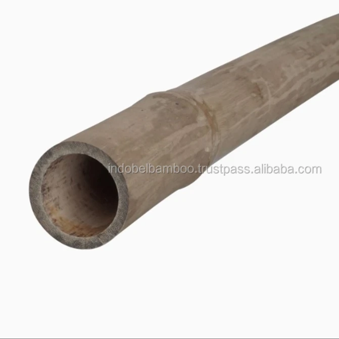 Bamboo Poles Natural Straight for Construction 7m (Non-Treated)