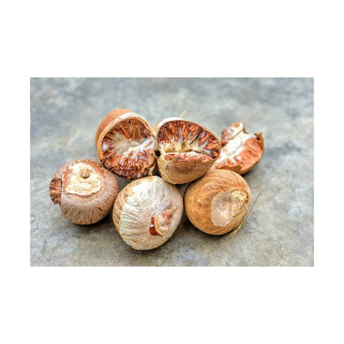 New Betel Nut Dried Supari In Hot Sale With High Quality Newly Crop Betel Nuts