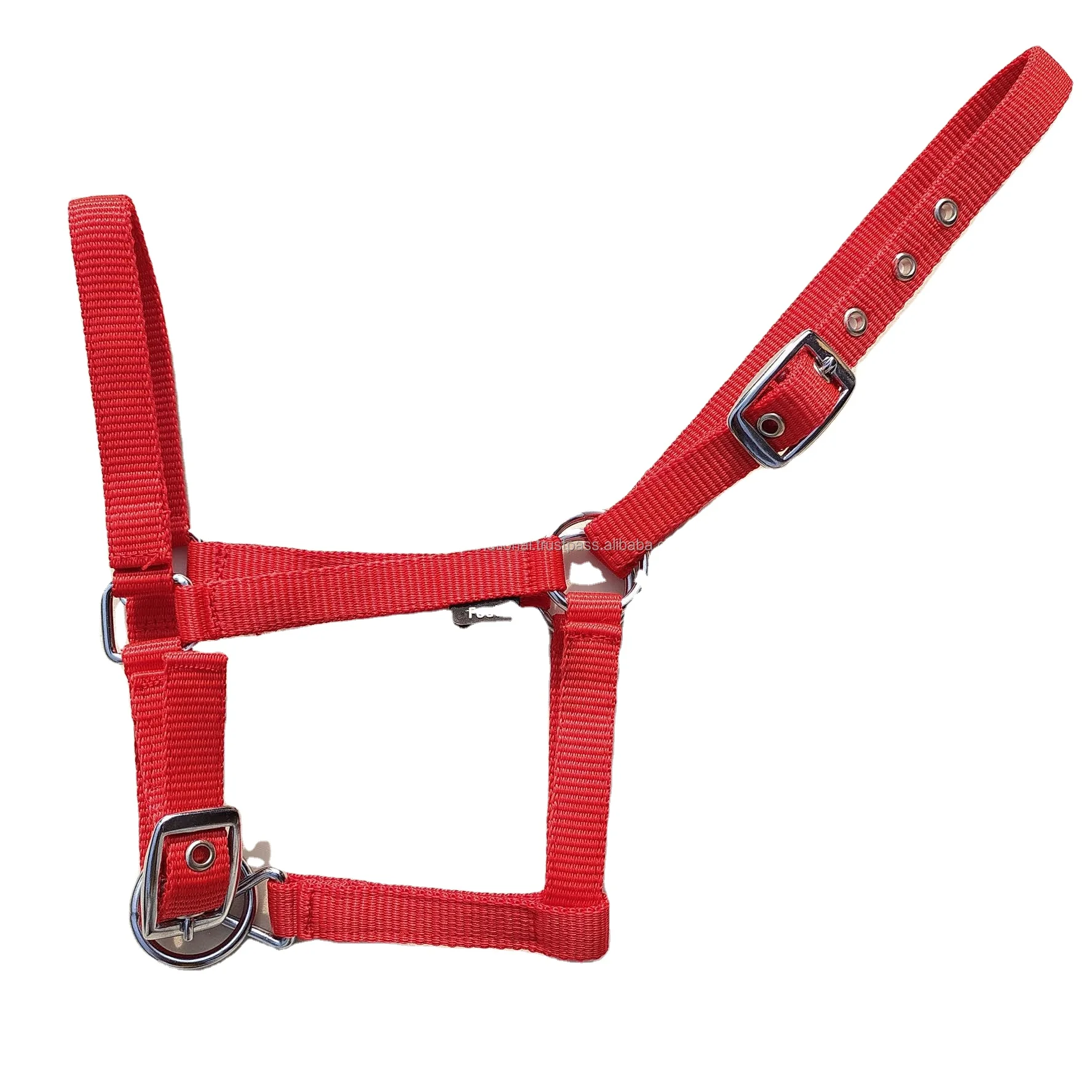 Wholesale Premium  Red Blue Nylon Horse Halter With Matching Lead Rope Very Low Price Manufacture in India