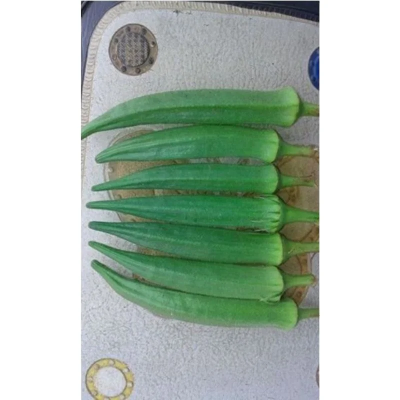 Best Price for Okra Clemson Spineless (Op) Verity for for consumption Okra / Okro exporter
