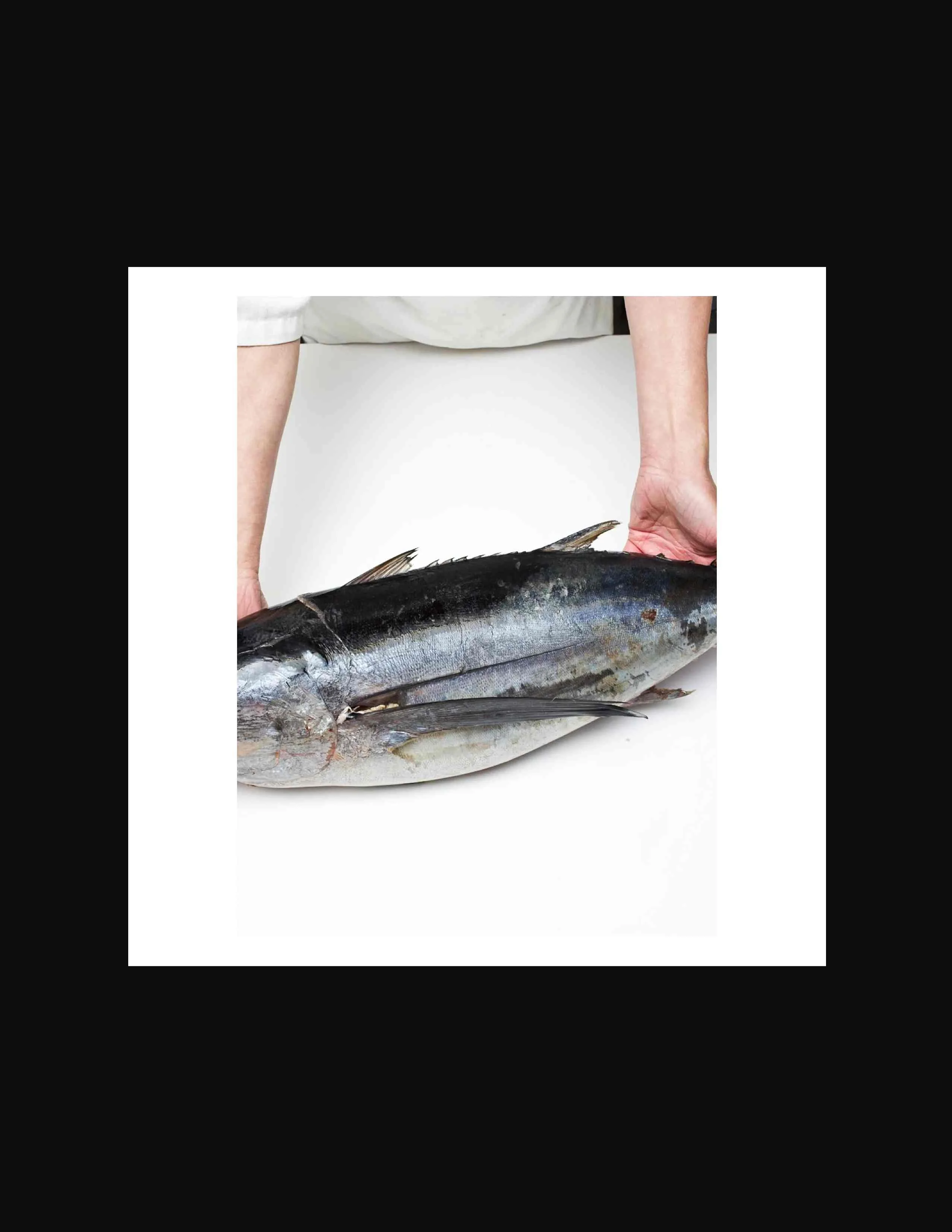 Тунец рыба морепродукты с низким содержанием жира питательные тунец высококачественный круглый замороженный